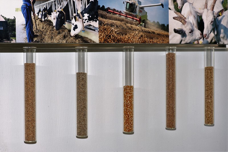 Dingden12 Detail.jpg