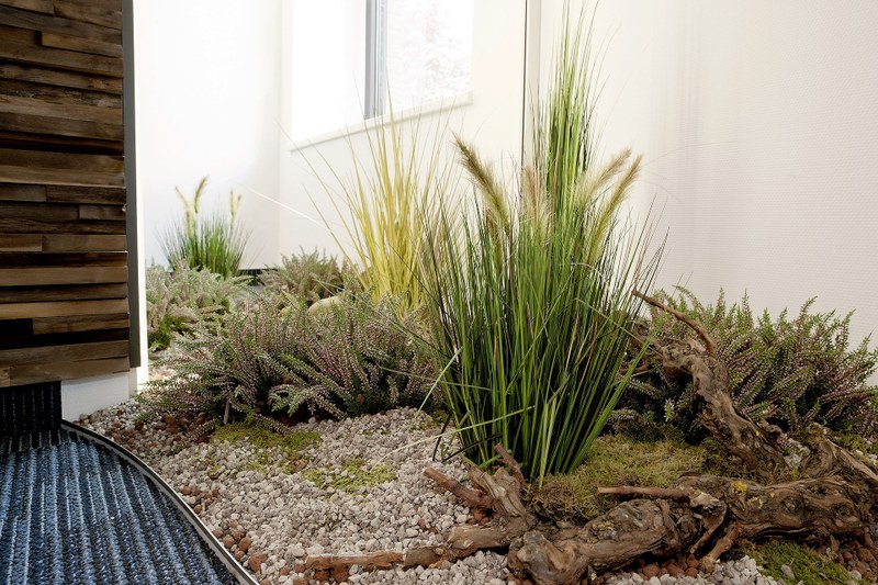 Dingden13 Heidepflanzen.jpg