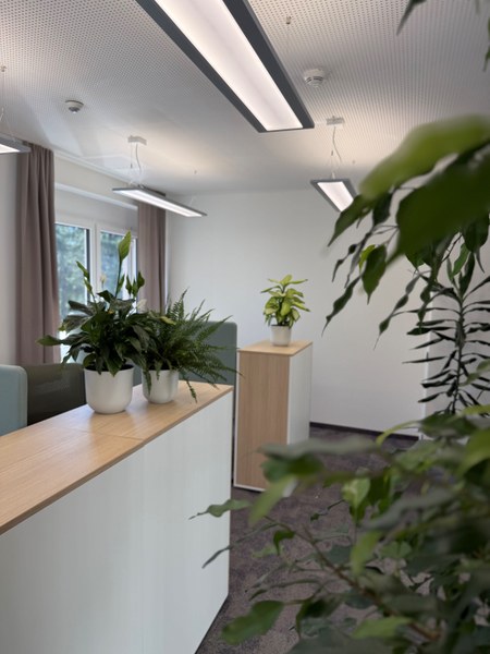 Astoria Melk_Beleuchtung, Begrünung.jpg