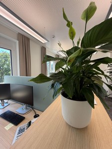 Astoria Melk_Eröffnung 9.jpg